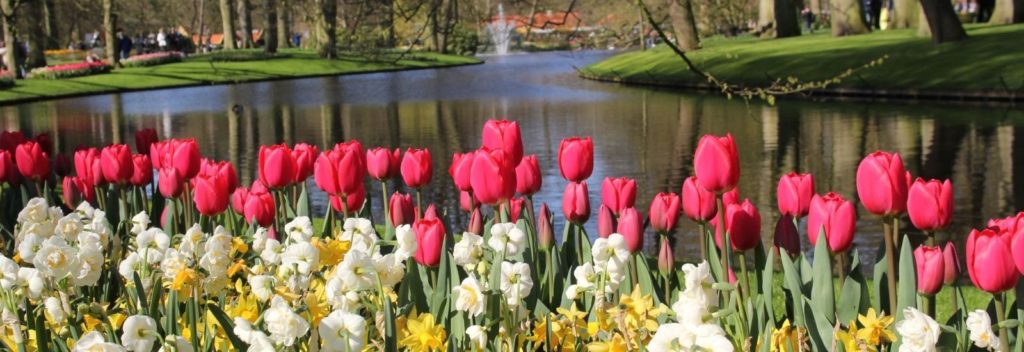 Erasmus_Amsterdam_Martyn Skoyles